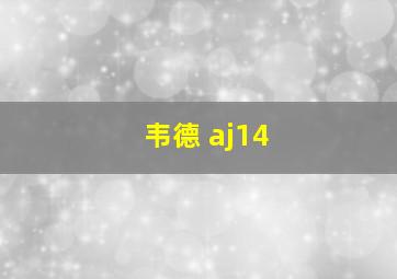 韦德 aj14